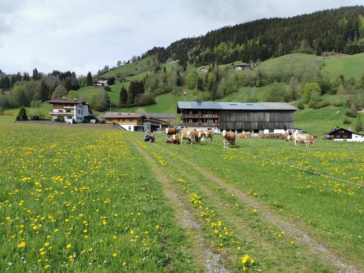 Apartamento Angererhof Jochberg Exterior foto